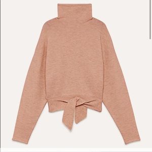 Aritzia, Wilfred Lorin tie-front sweater
